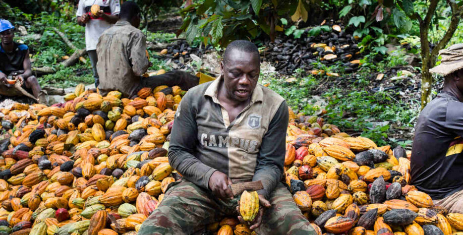 agricultural products supplier