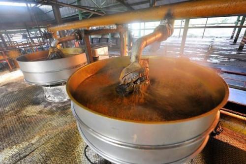 Palm Oil Processing