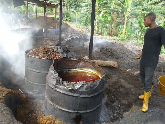 Palm oil supplier farm production